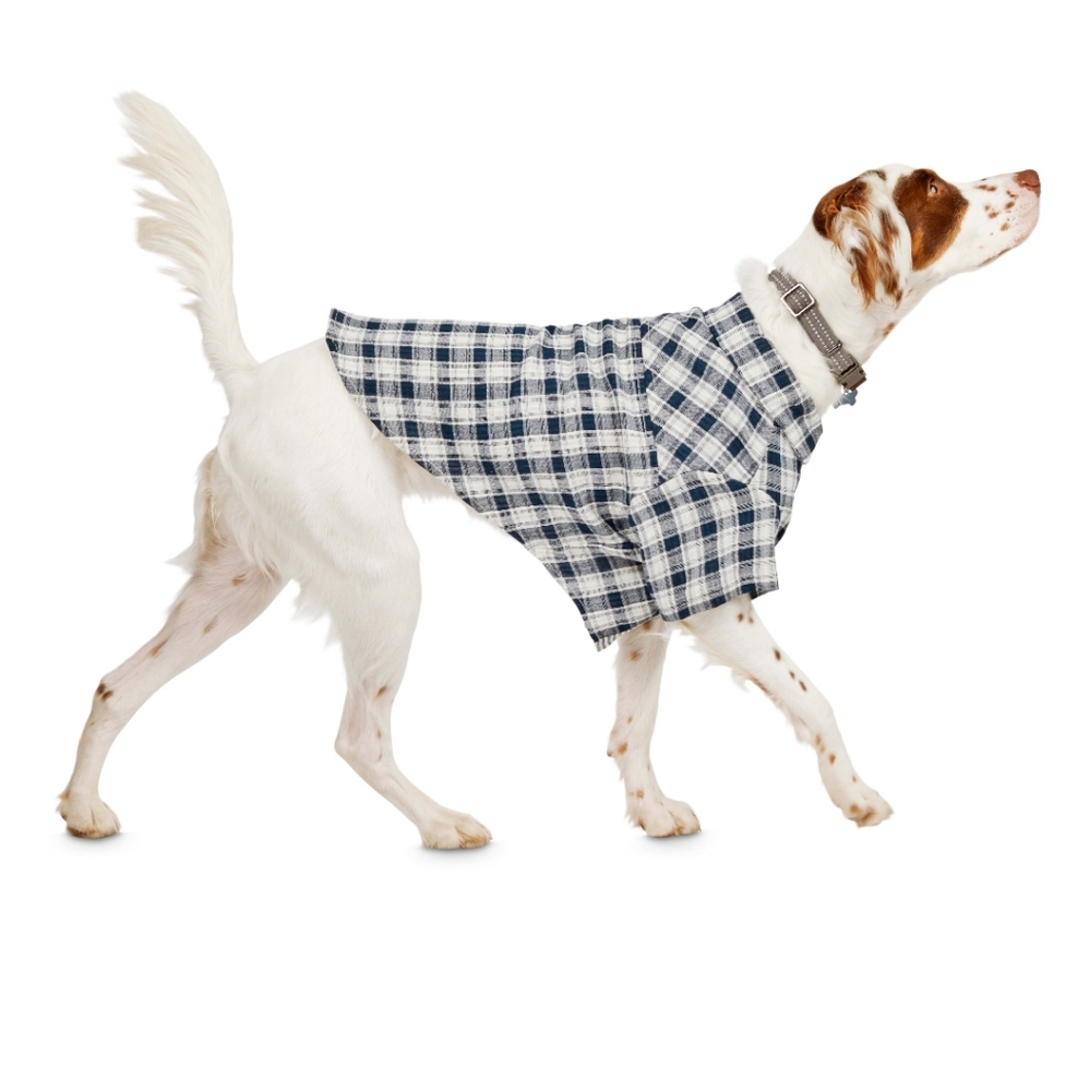 Dog's 🐕 shirt 👕